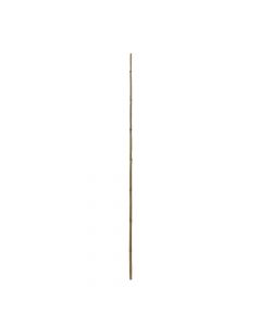 Bamboo natyral, Giardino Verde, H120 cm, Ø 10-12 mm