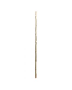 Bamboo natyral, Giardino Verde, H180 cm, Ø 50-60 mm