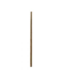 Bamboo natyral, Giardino Verde, H240 cm, Ø 80-100 mm