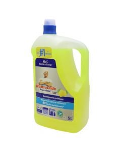 Detergjent pastrimi, Mastro Lindo, Professional, 5 lt, 1 copë