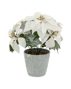 Lule dekorative Christmas, Poinsettita white, ngjyre e bardhe me xixa, H22 cm